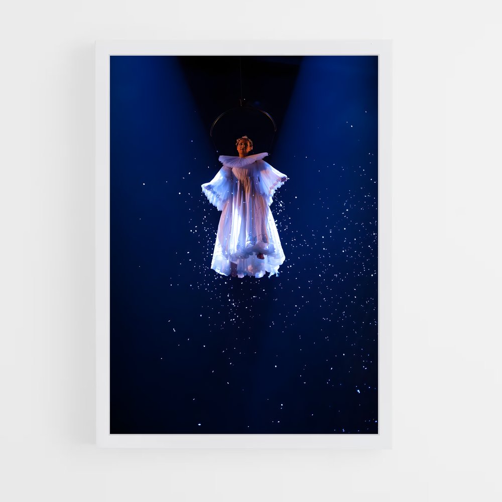 Poster Cirque soleil émerveille (vue 3)